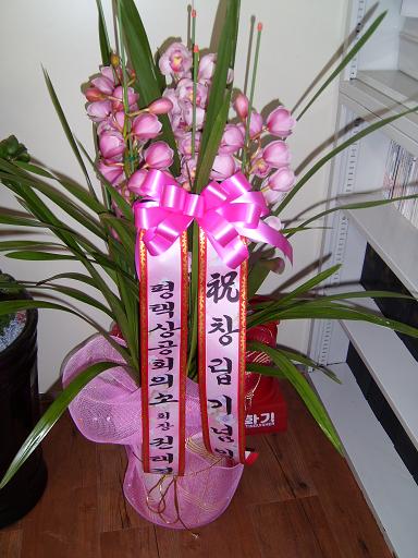 미트빌 이미지