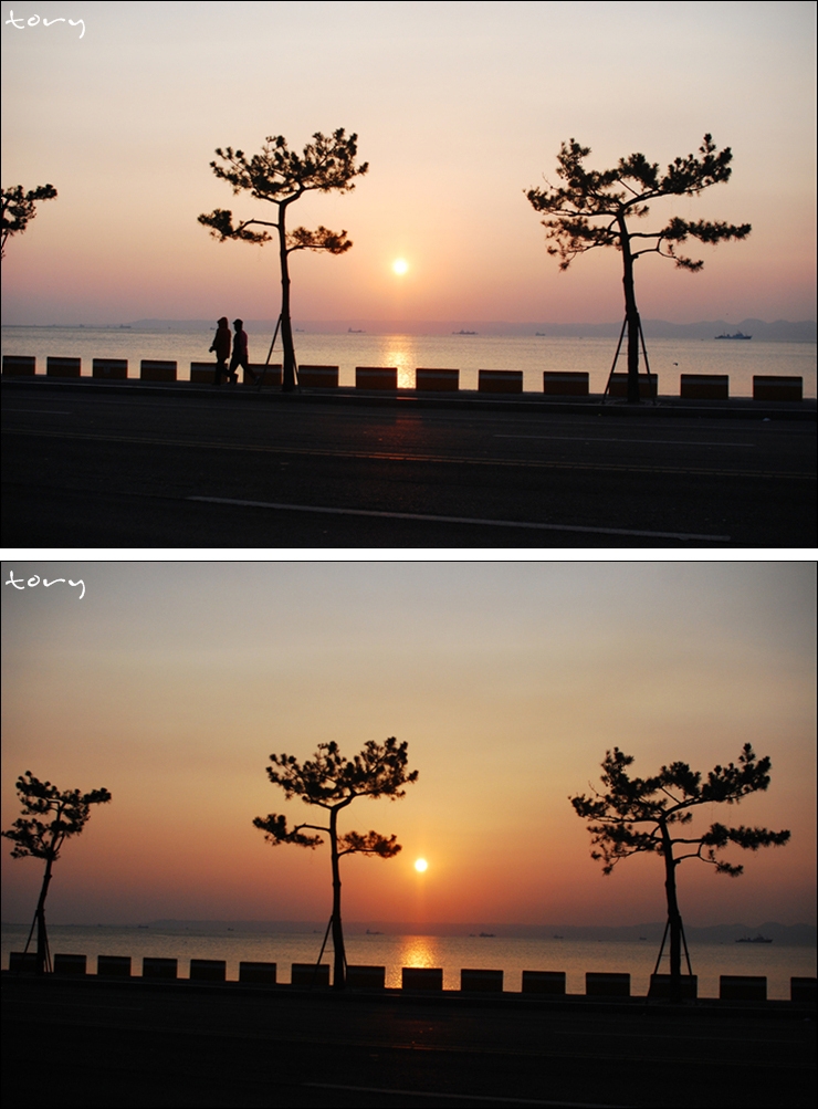 해뜨는바다 이미지