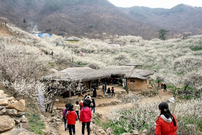 백년건강식품 이미지