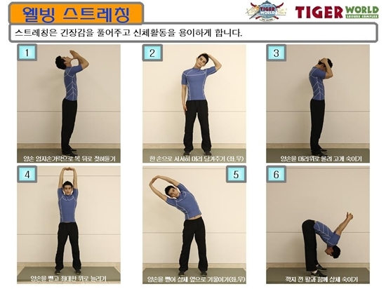 웰빙스트레칭 이미지