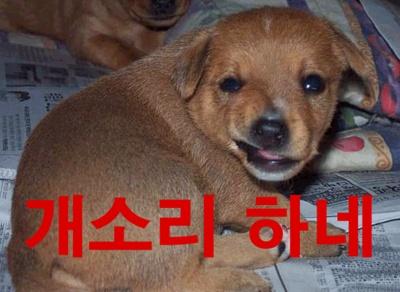 참 이미지