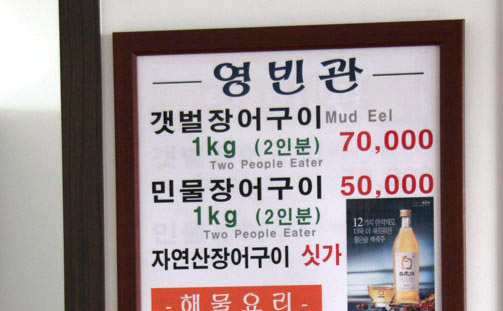 대교장어 이미지