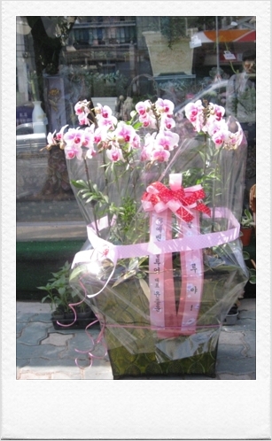 마운트립 이미지