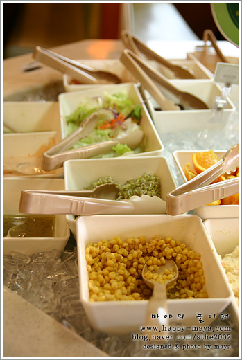 프레시딜라이트 이미지