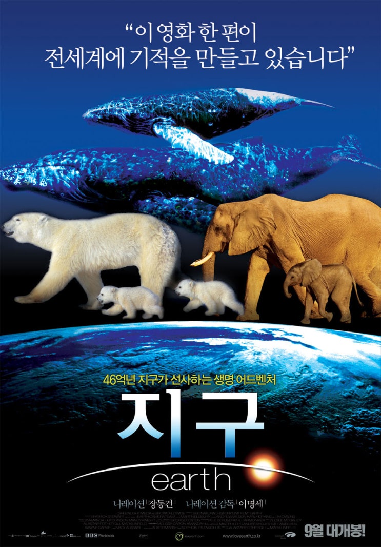 ㈜엠엔에프씨 이미지