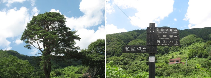 장재울 이미지