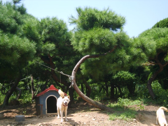 한솔농원 이미지