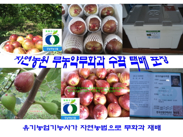 정상농원 이미지