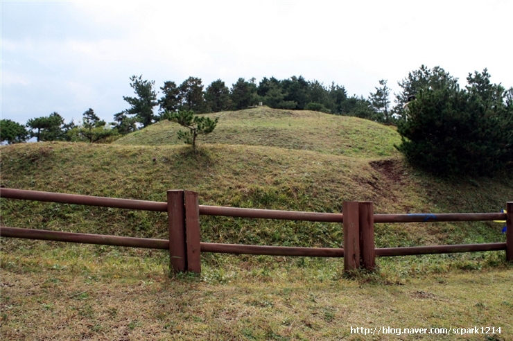 삼영수산(주) 이미지