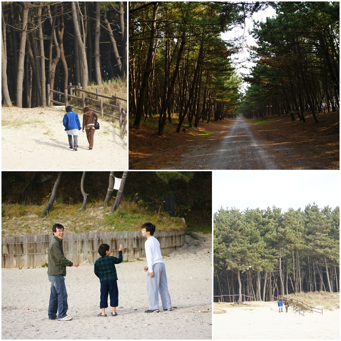 삼봉카 이미지