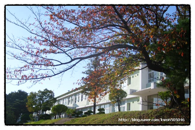 제일축산 이미지