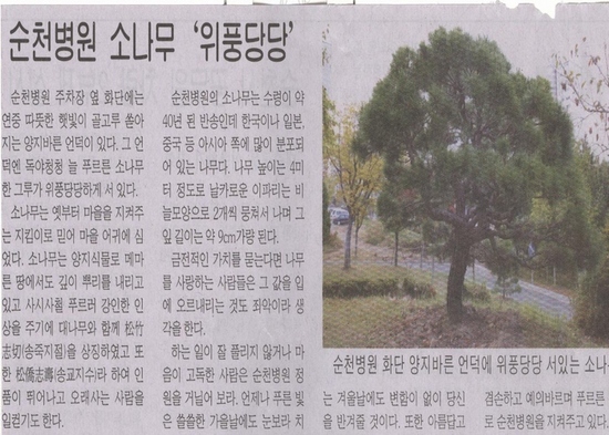 소나무병원 이미지