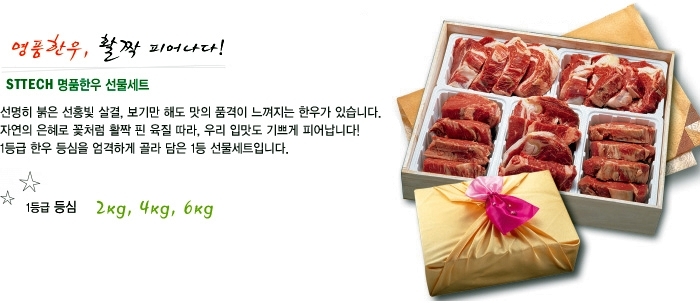 STTech 이미지