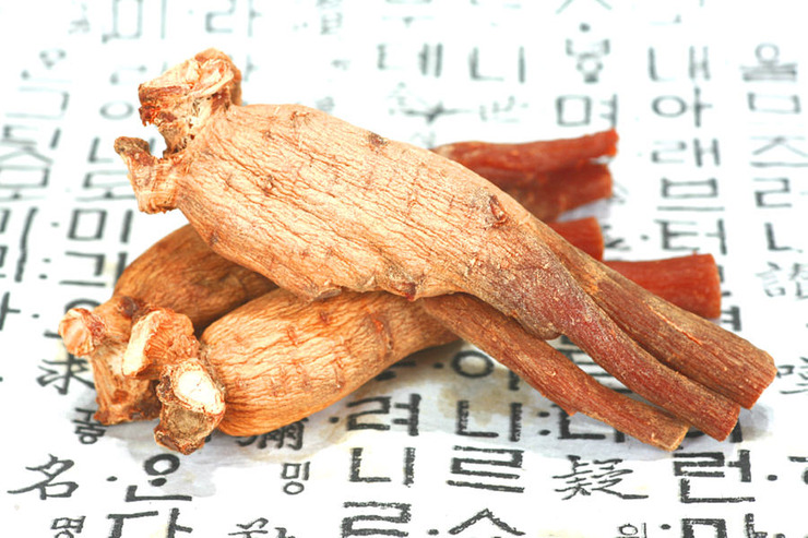 한국고려홍삼제조 이미지