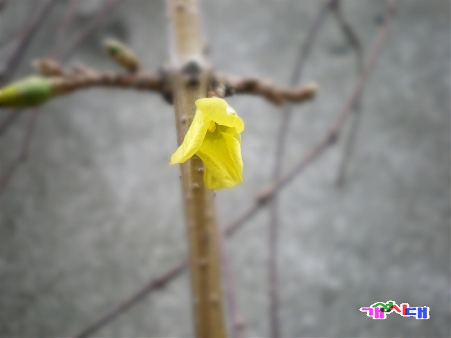 백운화원 이미지