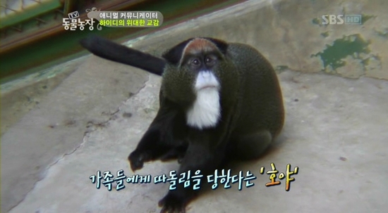 호야농장 이미지