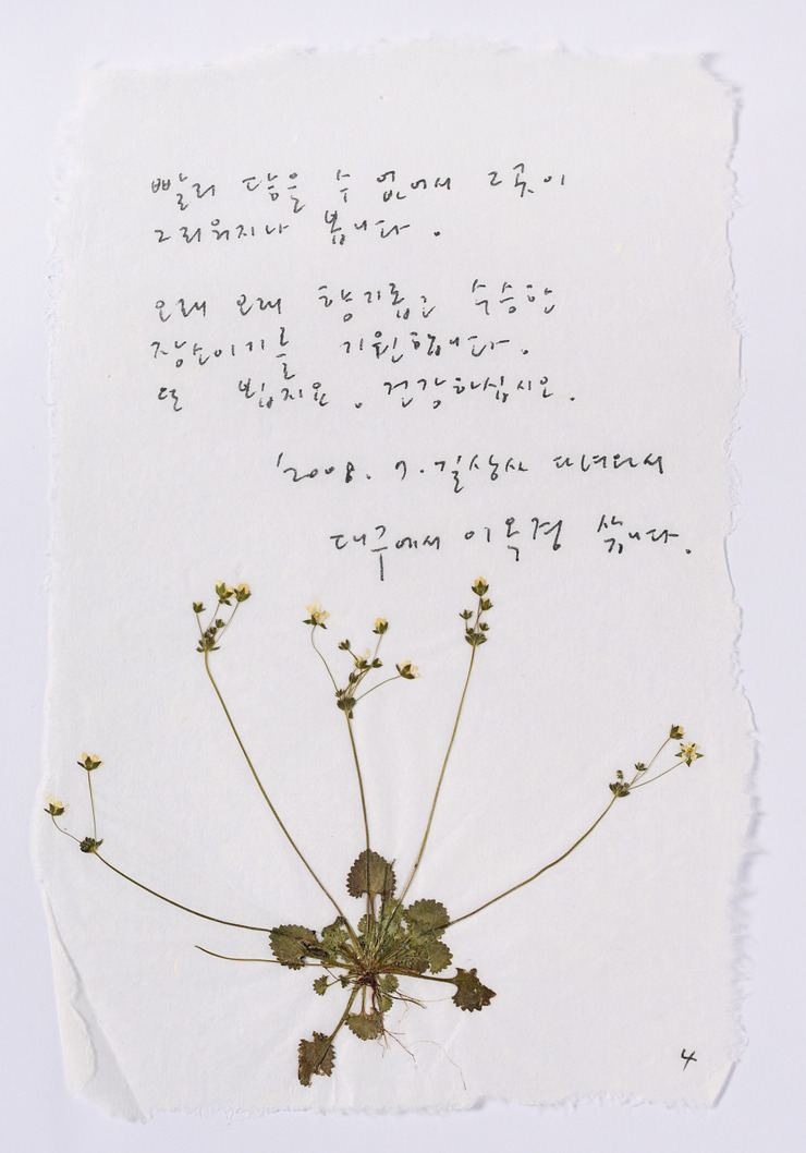 지대방 이미지