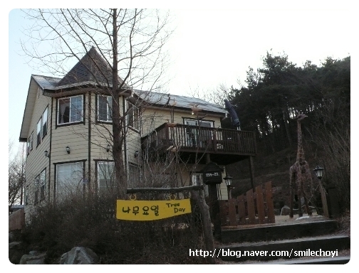 나무요일 이미지