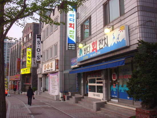 바다잔치 이미지