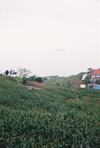효정민박 이미지