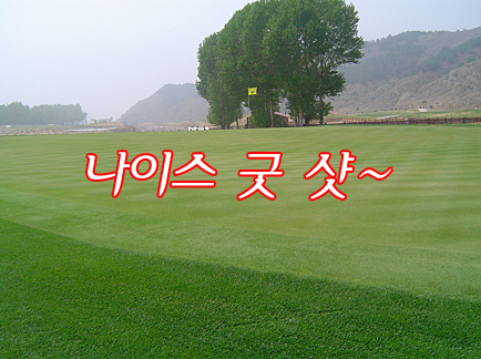 에이플러스골프 이미지