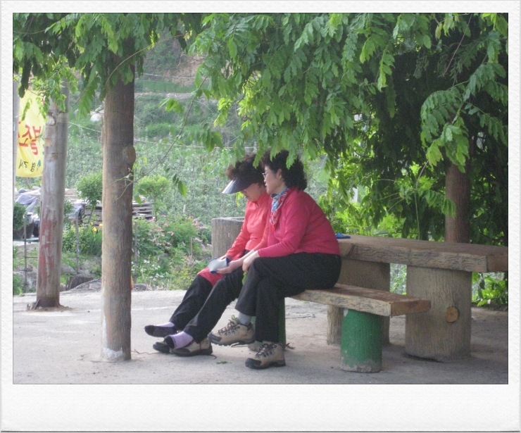 삼삼마을 이미지