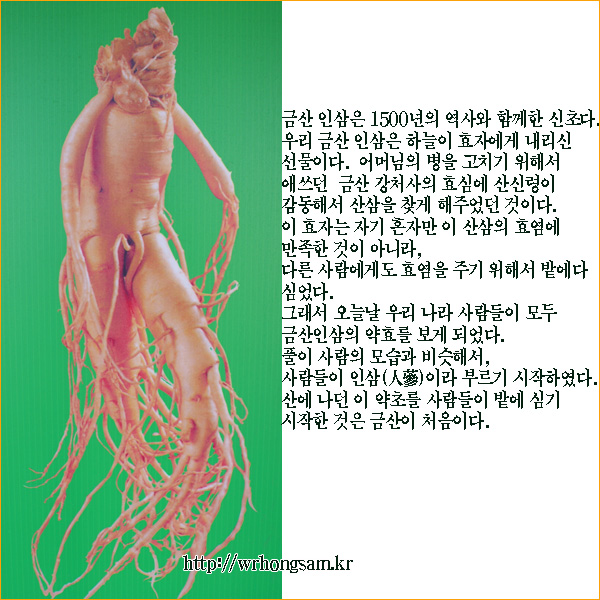 금강자연약초 이미지