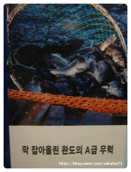 외길수산 이미지