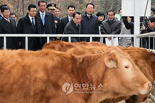 횡성축산 이미지