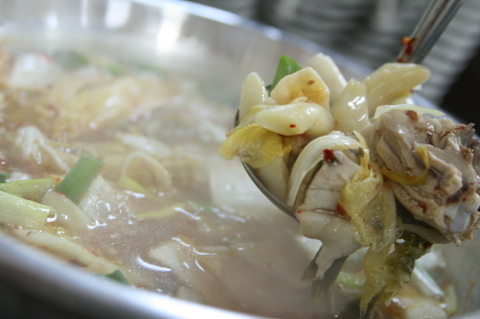 원조닭칼국수 이미지