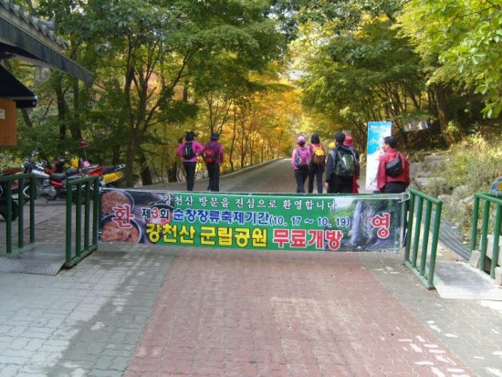 삼호당구장 이미지