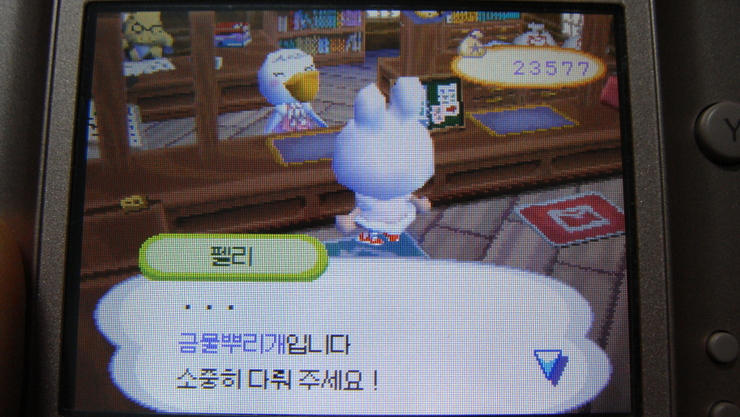 동숲 이미지