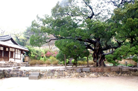 한국의정원 이미지