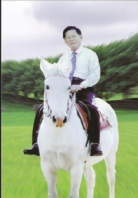 백마 이미지