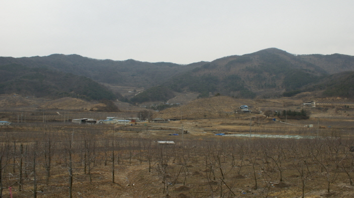 누리컨설팅주 이미지