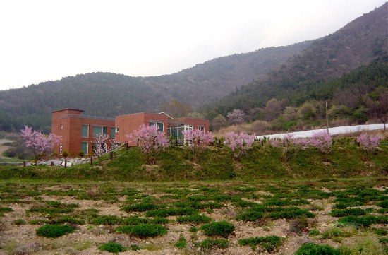 묵방산들국화 이미지