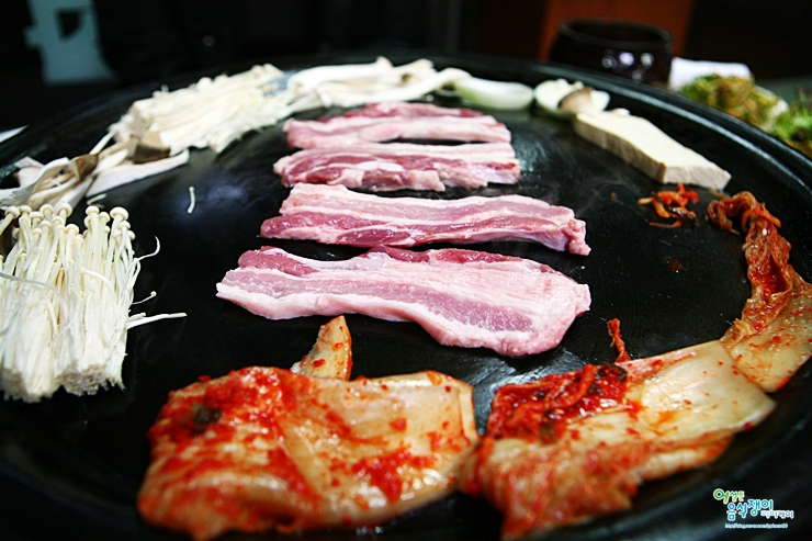 돼지꿈꾸던날 이미지
