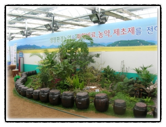 고성녹즙 이미지