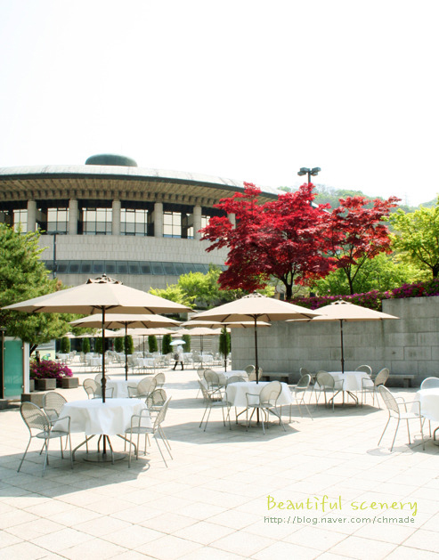 피델리오카페 이미지