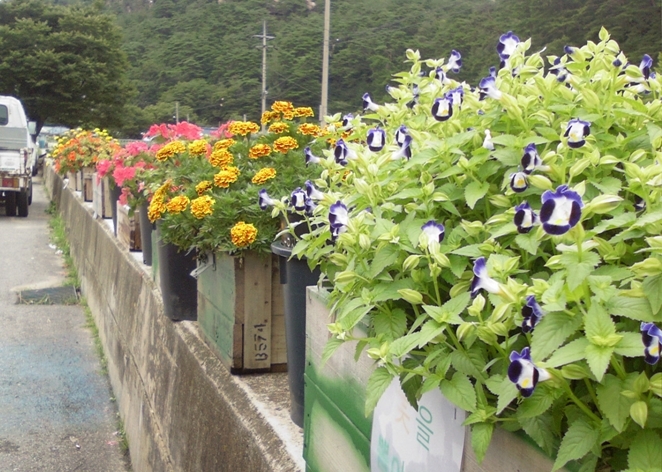 속리산손칼국수 이미지
