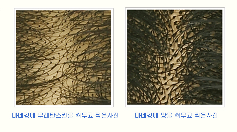 모터치 이미지