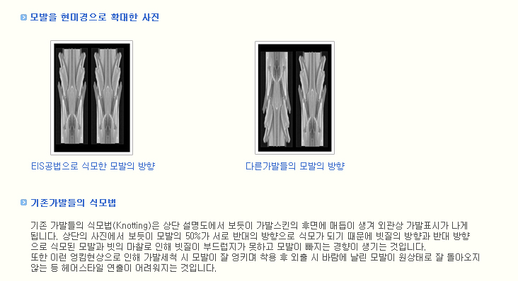 모터치 이미지