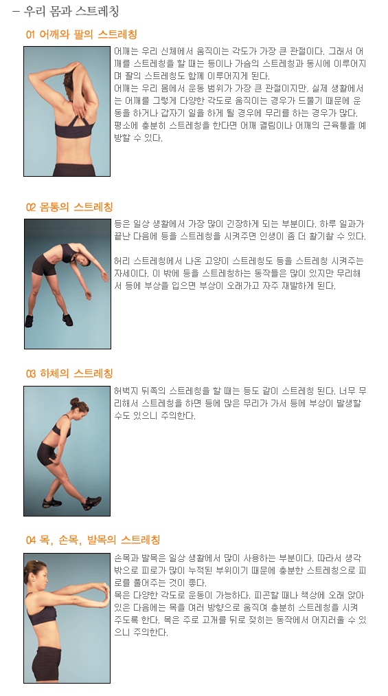 세별 이미지