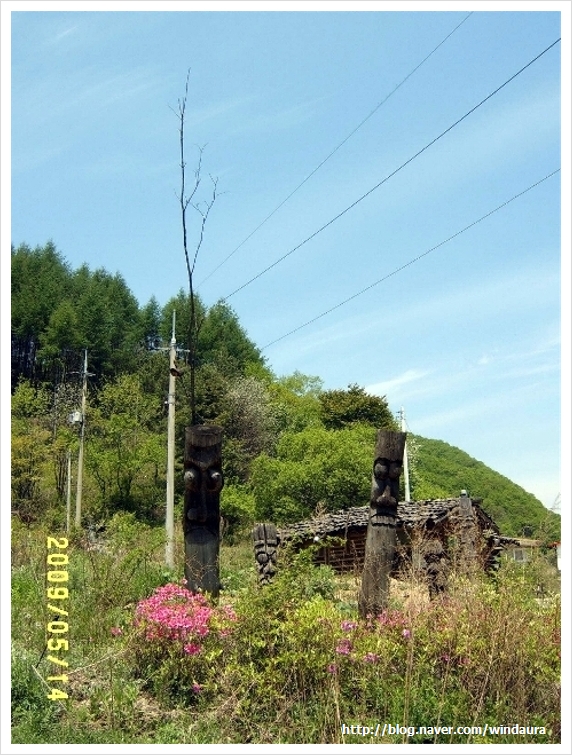 세쌍둥이네풀꽃세상 이미지