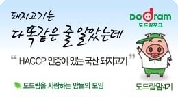 돈이돈이 이미지