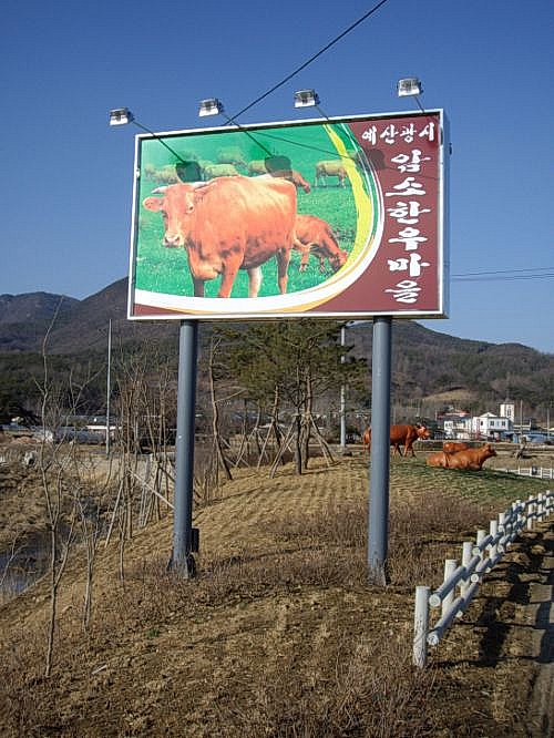 암소 한우촌 정육점 이미지