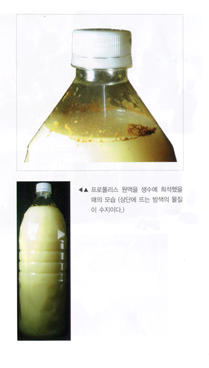 밀성양봉원 이미지