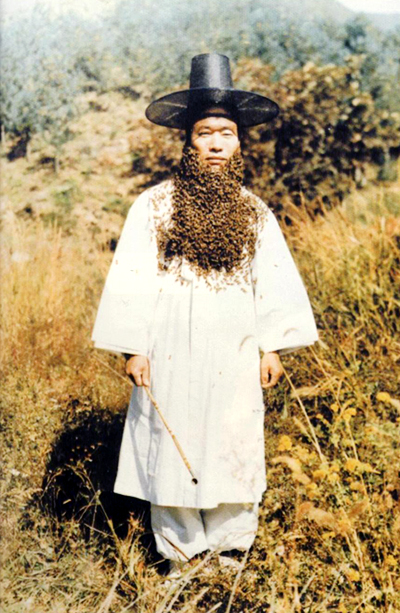 밀성양봉원 이미지