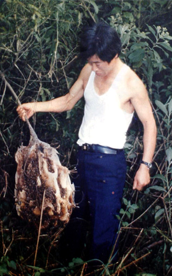 밀성양봉원 이미지