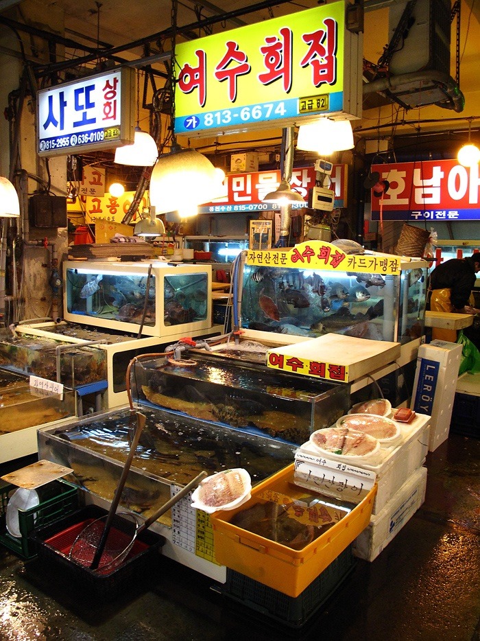 라이더수산 이미지